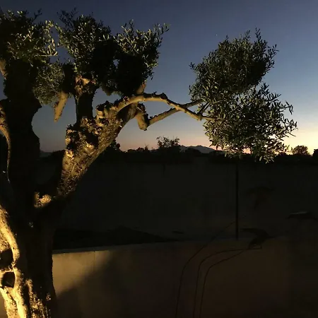 Rapatel Saint-Cyprien (Pyrenees-Orientales)