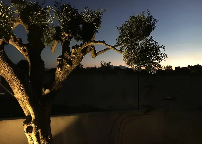 Rapatel Saint-Cyprien (Pyrenees-Orientales)